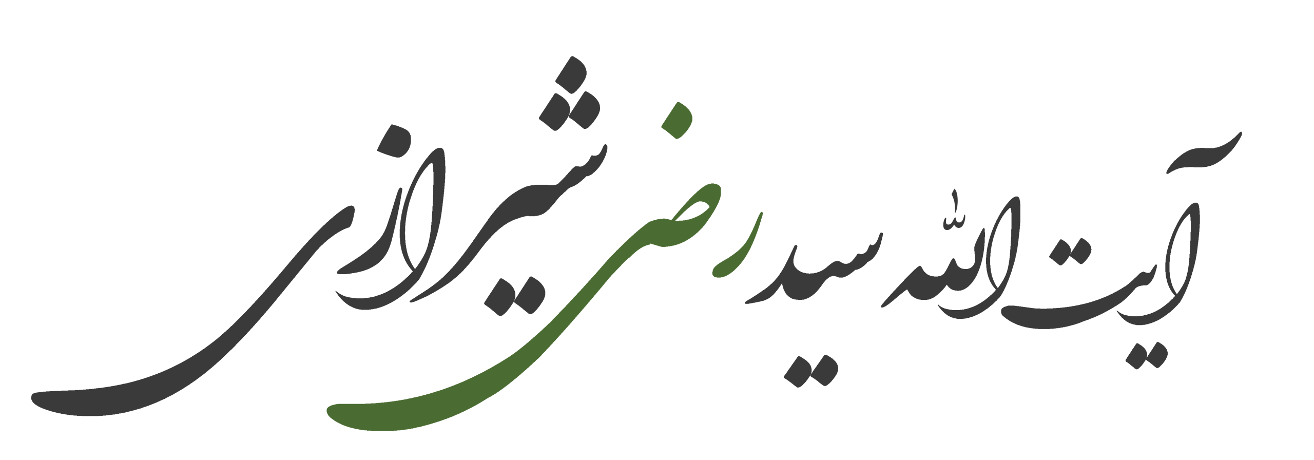 آیت الله سیدرضی شیرازی